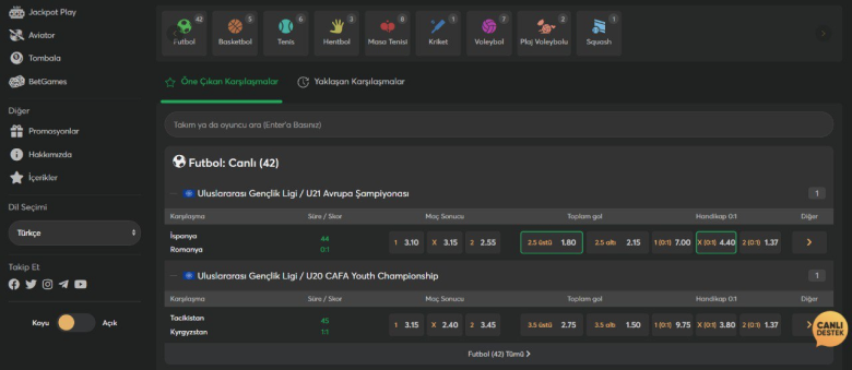 Vdcasino'da spor bahisleri